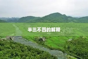 半三不四的解释