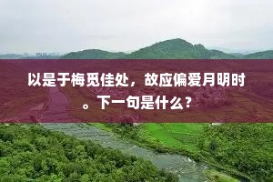 以是于梅觅佳处，故应偏爱月明时。下一句是什么？