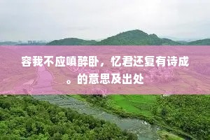 容我不应嗔醉卧，忆君还复有诗成。的意思及出处