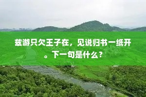 兹游只欠王子在，见说归书一纸开。下一句是什么？