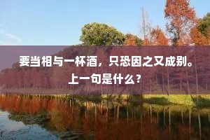 要当相与一杯酒，只恐因之又成别。上一句是什么？