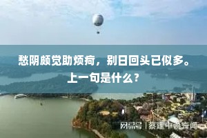 愁阴颇觉助烦疴，别日回头已似多。上一句是什么？