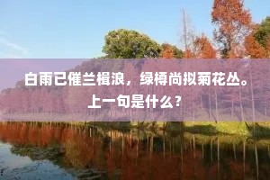 白雨已催兰楫浪，绿樽尚拟菊花丛。上一句是什么？