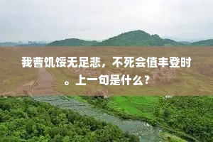 我曹饥馁无足悲，不死会值丰登时。上一句是什么？