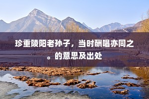 珍重陵阳老孙子，当时酬唱亦同之。的意思及出处