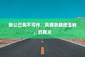 数公已矣不可作，风雨明朝埋玉树。的释义