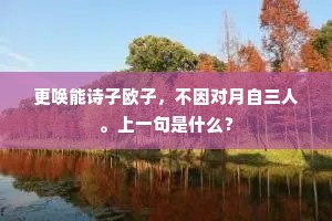 更唤能诗子欧子，不因对月自三人。上一句是什么？