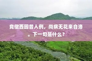 竟徵西园昔人例，尚病无花来自洛。下一句是什么？