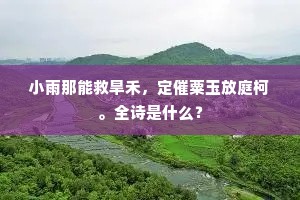 小雨那能救旱禾，定催粟玉放庭柯。全诗是什么？