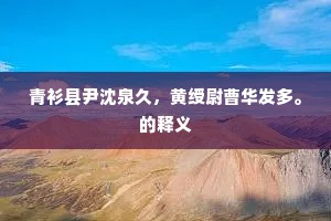 青衫县尹沈泉久，黄绶尉曹华发多。的释义