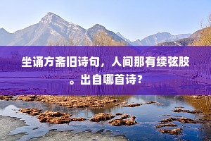 坐诵方斋旧诗句，人间那有续弦胶。出自哪首诗？