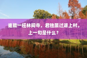 谁能一枉林间寺，君独屡过湖上村。上一句是什么？