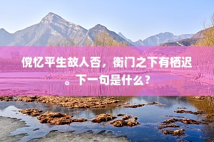傥忆平生故人否，衡门之下有栖迟。下一句是什么？