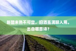 新醅未熟不可尝，旧酒虽漓聊入用。出自哪首诗？