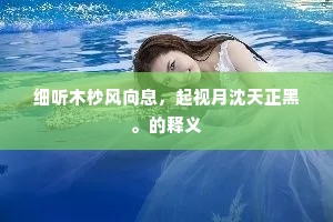细听木杪风向息，起视月沈天正黑。的释义