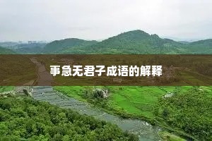 事急无君子成语的解释