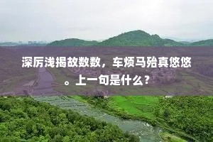 深厉浅揭故数数，车烦马殆真悠悠。上一句是什么？