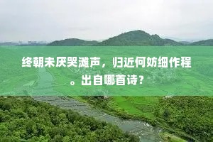 终朝未厌哭滩声，归近何妨细作程。出自哪首诗？