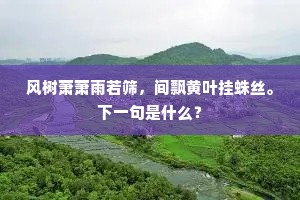 风树萧萧雨若筛，间飘黄叶挂蛛丝。下一句是什么？