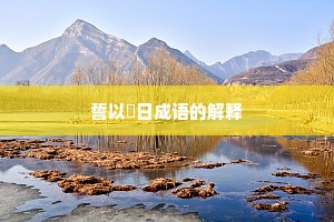 誓以皦日成语的解释