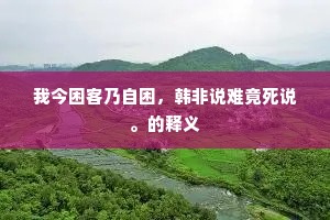 我今困客乃自困，韩非说难竟死说。的释义