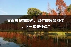 青山表见花颜色，绿竹增添鹭羽仪。下一句是什么？
