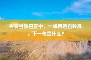 树影当阶日正中，一蝉何适自吟风。下一句是什么？