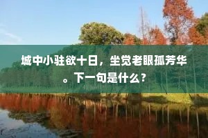 城中小驻欲十日，坐觉老眼孤芳华。下一句是什么？