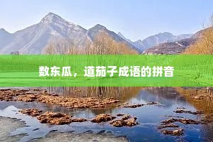 数东瓜，道茄子成语的拼音