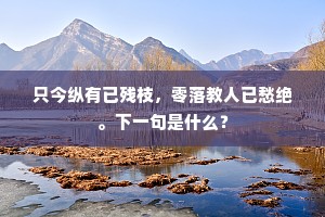 只今纵有已残枝，零落教人已愁绝。下一句是什么？
