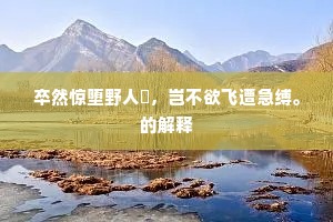 卒然惊堕野人罝，岂不欲飞遭急缚。的解释