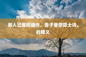 故人已寄招魂作，吾子重歌隐士诗。的释义
