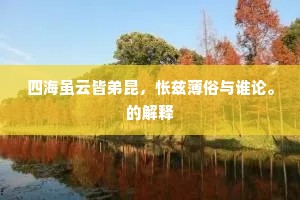 四海虽云皆弟昆，怅兹薄俗与谁论。的解释