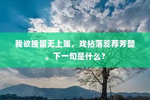 我欲挽留无上策，戏拈落蕊荐芳醅。下一句是什么？