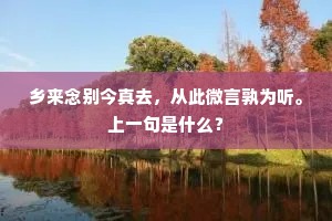 乡来念别今真去，从此微言孰为听。上一句是什么？
