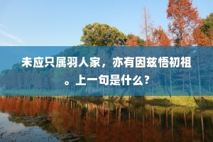 未应只属羽人家，亦有因兹悟初祖。上一句是什么？