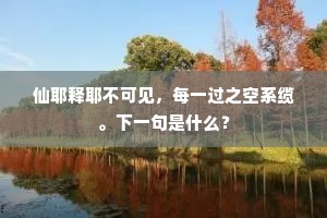 仙耶释耶不可见，每一过之空系缆。下一句是什么？