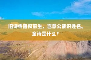 旧诗零落似前生，岂意公能识姓名。全诗是什么？