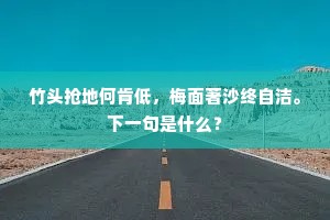 竹头抢地何肯低，梅面著沙终自洁。下一句是什么？