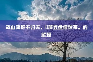 故山政好不归去，筍蕨登盘僧馈茶。的解释