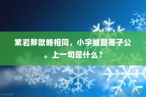 紫岩黟歙略相同，小字缄题寄子公。上一句是什么？
