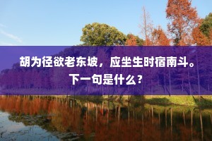 胡为径欲老东坡，应坐生时宿南斗。下一句是什么？