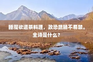 睡魔欲遣茶料理，政恐蔬肠不易禁。全诗是什么？