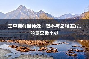 是中剩有堪诗处，恨不与之相主宾。的意思及出处