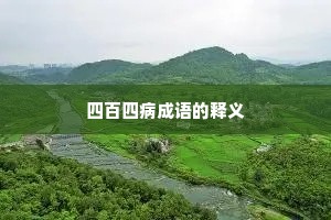 四百四病成语的释义