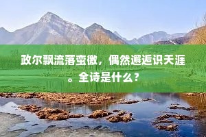 政尔飘流落蛮徼，偶然邂逅识天涯。全诗是什么？