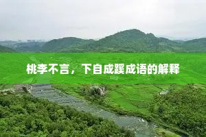 桃李不言，下自成蹊成语的解释