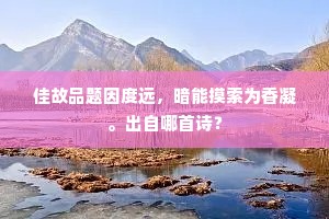 佳故品题因度远，暗能摸索为香凝。出自哪首诗？