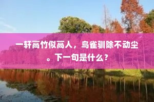 一轩高竹似高人，鸟雀驯除不动尘。下一句是什么？