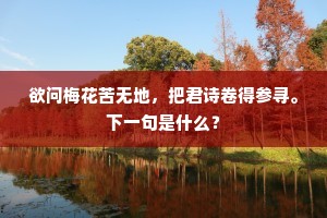 欲问梅花苦无地，把君诗卷得参寻。下一句是什么？